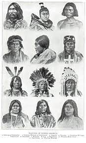 Oct 16, 2010 · some people have been critical of indigenous peoples' treatment of the environment, noting examples such as the deforestation of easter island or the disappearance of large animals from parts of america and australia caused by native people. Population History Of Indigenous Peoples Of The Americas Wikipedia