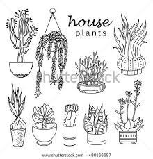 Illustration Of Houseplants Indoor And Office Plants In Pot Set Of House Plant Isolated Vector Linear Sketch House Plant Sketches Plant Drawing Plant Doodle