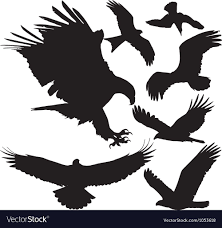Birds Of Prey Logo Vector Birds Of Prey Silhouettes Royalty Free Vector Image Affiliate Silhouettes Prey Birds Royalty Ad In 2020 Bird Of Prey Tattoo Eagle Silhouette Birds Of Prey