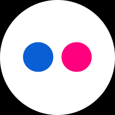 Flickr (pronounced flicker pronunciation ) is an american image hosting and video hosting service, as well as an online community. Flickr Logo Free Icon Of Social Colored Icons