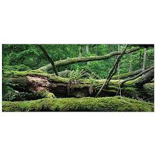 All Living Things Forest Terrarium Cling Reptile Background Reptile Habitat Decor Petsmart Aquarium Backgrounds Reptiles Reptile Habitat
