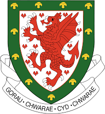 All orders are custom made and most ship worldwide within 24 hours. Welsh National Football Team Logos Download