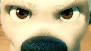 Image result for Extreme close up shot