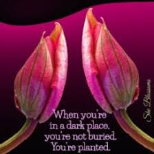 Some people are fine with living in a sexless relationship; How Do You Find Happiness In A Loveless Marriage She Blossoms