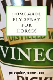 make your own horse fly spray