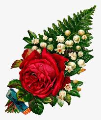 Browse and download the best free stock flower images. What A Beautiful Digital Red Rose Graphic I Love This Single Red Rose Flower Love Png Png Image Transparent Png Free Download On Seekpng