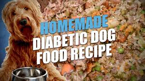 Unfortunately, many recipes just aren't designed for homes with large dogs, especially if most of these recipes refrigerate or freeze well so you can make several meals at once. Homemade Diabetic Dog Food Recipe Cheap And Healthy Youtube