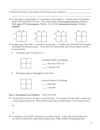 Check spelling or type a new query. Monohybrid Crosses Practice Pdf