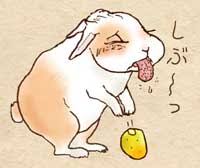 カリンを食べたい 不思議で楽しい植物の世界 ぷうちゃんわーるど
