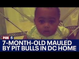 Fundraiser for Domica Goode by Dajuane Goode : Semaj S.