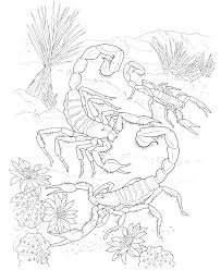 But this predatory animal has a poison that is quite deadly on the back of its sting as a means of protecting itself, which we need to beware of. Online Coloring Pages Found Coloring Scorpio Found In Hot Countries Desert