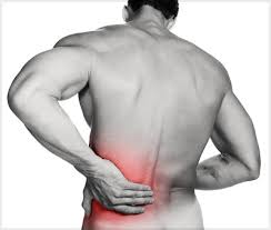 Learn all about human muscles and how they work. Blog Physical Therapy For Back Spasm Relief
