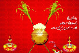 Pongal valthu pongal wish greetings for family, sisters brothers. Happy Pongal 2018 Wishes Sms Text Messages In Tamil English Hindi
