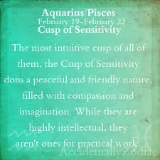 Aquarius Pisces Cusp Part 1 Feb 19th 22nd Pisces Pisces And Aquarius Aquarius And Pisces Compatibility