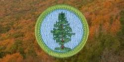 Boy Scout Merit Badge Day: Forestry