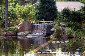 Pin By Beltbuzzard On Backyard Landscape Ideas Natural Pond Natural Swimming Ponds Swimming Pool Pond