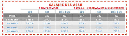 La demande de continuation de l'assurance est déposée dans un délai de six mois à compter de la les personnes qui sont considérées par l'avs comme exerçant une activité indépendante ne sont. Condition De Recrutement Des Aesh Le Passage En Cdi Snuipp Fsu 31