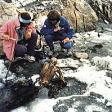 Discovery of The Iceman