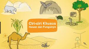 Mengenal 3 sistem pemeliharaan ayam kampung. Ciri Ciri Khusus Hewan Habitat Fungsi Dan Gambarnya