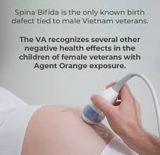 Second Generation Agent Orange Symptoms Hill Ponton P A