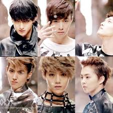 Leader, main rapper, sub vocalist birthday: Exo Profile Exo 2020