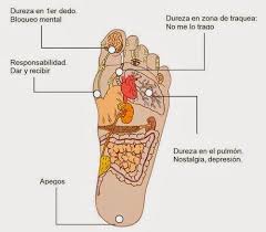Saiku Otra Vida Es Posible Los Pies Gritan Lo Que La Boca Calla Pies Reflexologia Reflexologia Dolor De Pies
