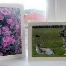 Some are uv coated, others are not. How To Set Up A Card Business Using Photo Prints Toughnickel