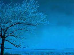 10,000+ hd blue backgrounds to download related images: Blue Trees Wallpapers Top Free Blue Trees Backgrounds Wallpaperaccess