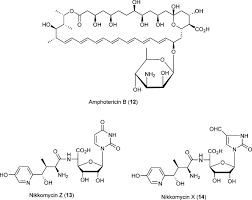 Image result for Dactinomycin