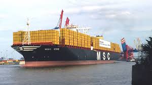 Msc Zoe Wikipedia