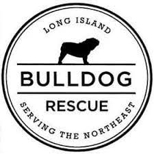 Bulldogs come in and they need a place to heal before they are ready to be adopted to their forever families. Long Island Bulldog Rescue Facebook