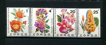 Image result for Dissotis brazzae