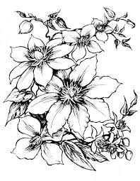 Pin By Aleksej Avramenko On Sablonai Flower Drawing Flower Coloring Pages Realistic Flower Drawing
