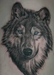 Blue Eyes Wolf Head Tattoo Image Jpg 579 800 Pixels Wolf Tattoos Men Picture Tattoos Animal Tattoos
