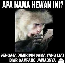 Berbagai Tebak Tebakan Garing Dan Receh Seru Lucu Gambar Lucu Tebak Tebakan