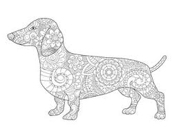 Both have provided services and companionship to humans for many centuries. Dachshund Color Page Etsy