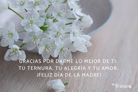 Se trata de una fecha muy especial y las frases que aquí he querido compartir apelan a la luchar por la igualdad entre el hombre y la mujer. 100 Frases Para El Dia De La Madre Cortas Y Bonitas
