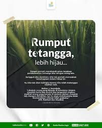 Eh maksudku lebih lebat dari istriku di rumah. Foto Dakwah Rumput Tetangga Lebih Hijau