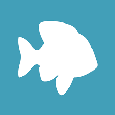 This app is free to download, but its matchmaking services can offer a lot of value and local dating opportunities. Best Dating Apps 2021 Most Popular Sites For Online Dating