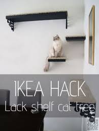 Cat Tree Diy Cat Tree Pet Diy Projects Cat Shelves