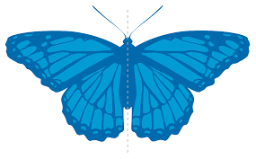 Symmetry Geometry Wikipedia