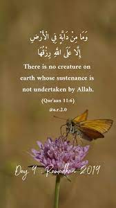 Pin By كنوز ألحكمه On عمر Islam Beliefs Quran Verses Doa Islam