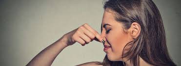 So ist es uns gelungen, mit unserer emma one matratze eine vielzahl verschiedener bedürfnisse abzudecken. Hygiene Im Alltag Wie Oft Wechselt Man Was Unicum Abi