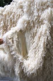 Maybe you would like to learn more about one of these? The Day I Washed My Mongolian Lambskin Throw The Art Of Doing Stuff