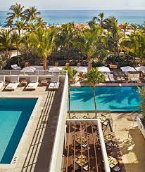 Hottest New Beach Hotels South Beach Hotels Beach Hotels Palms Miami Beach