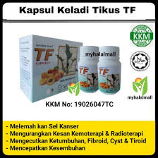 Ramuan ini mengandungi ribosome inacting protein (rip), zat antioksidan. Kapsul Keladi Tikus Tf Aprikot Asli 100 Kotak Keladi Tikus Asli