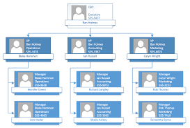 20 Rare Org Chart For Visio