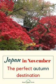 Japan In November A Perfect Fall Destination In 2020 Japan In November Travel Destinations Asia Asia Travel