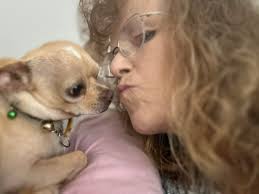 My boy Oscar enjoying the sun