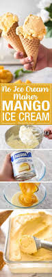 Condensed milk custard cake best recipes australia. Homemade Mango Ice Cream Recipe No Ice Cream Maker Recipetin Eats